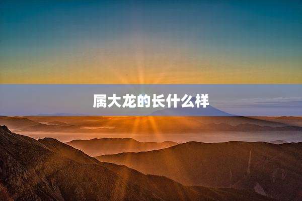 属大龙的长什么样