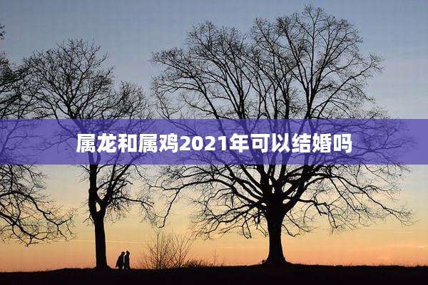 属龙和属鸡2021年可以结婚吗