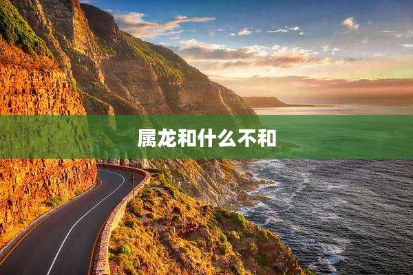 属龙和什么不和