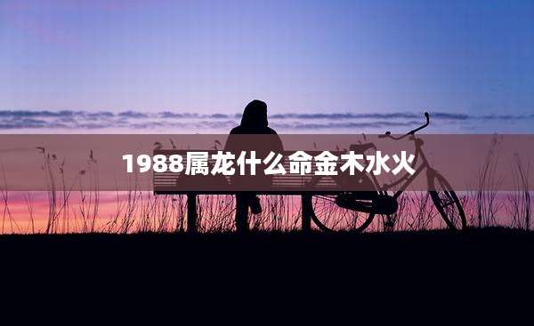 1988属龙什么命金木水火
