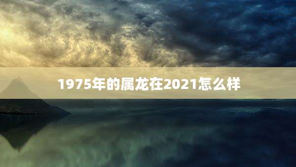 1975年的属龙在2021怎么样