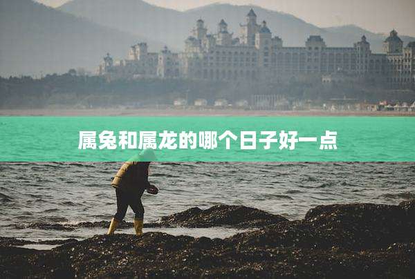 属兔和属龙的哪个日子好一点