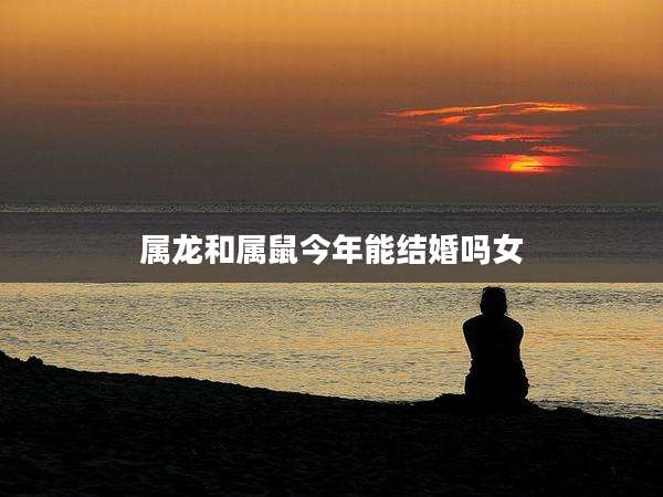 属龙和属鼠今年能结婚吗女