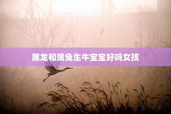 属龙和属兔生牛宝宝好吗女孩