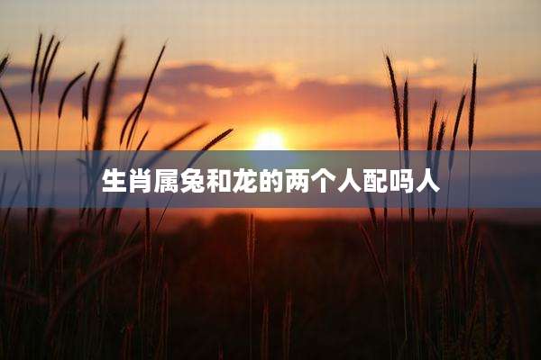 生肖属兔和龙的两个人配吗人