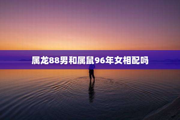 属龙88男和属鼠96年女相配吗