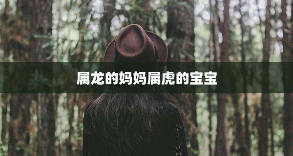 属龙的妈妈属虎的宝宝