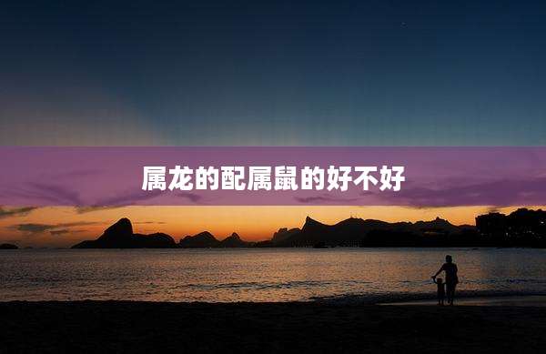 属龙的配属鼠的好不好