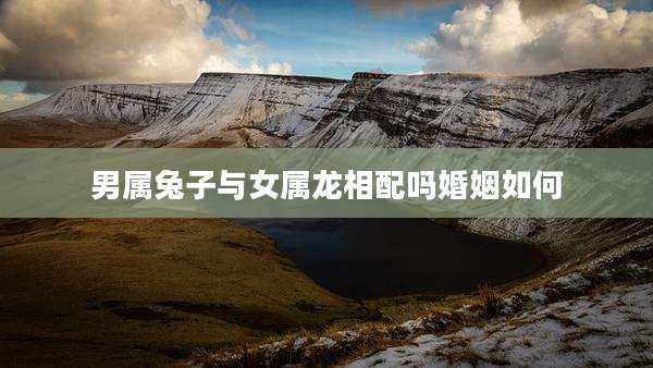 男属兔子与女属龙相配吗婚姻如何