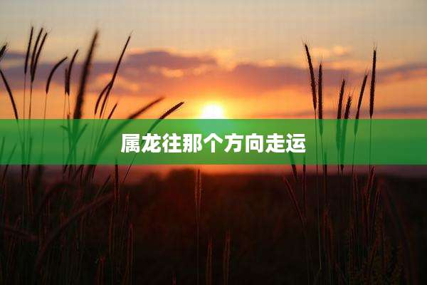属龙往那个方向走运