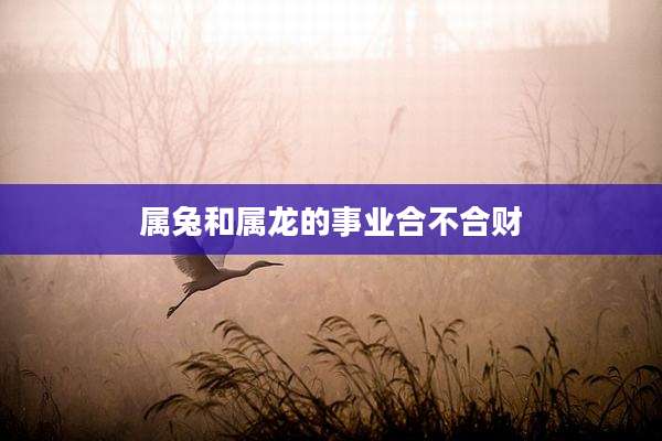 属兔和属龙的事业合不合财