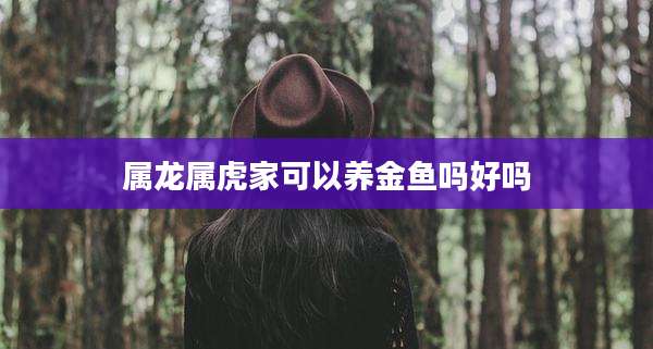 属龙属虎家可以养金鱼吗好吗