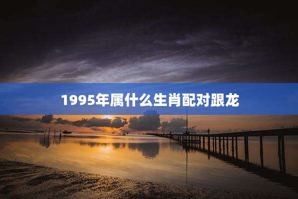 1995年属什么生肖配对跟龙