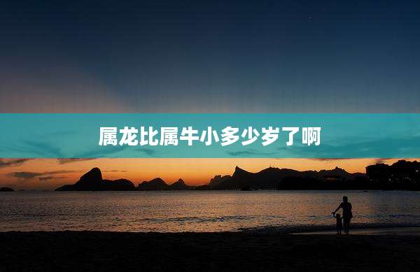 属龙比属牛小多少岁了啊