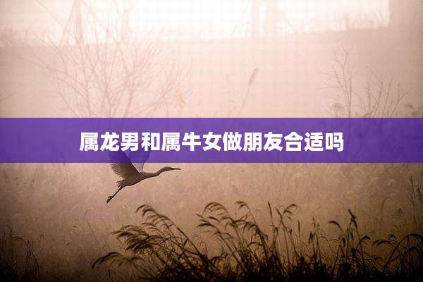 属龙男和属牛女做朋友合适吗