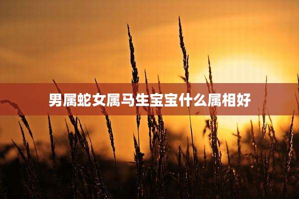 男属蛇女属马生宝宝什么属相好