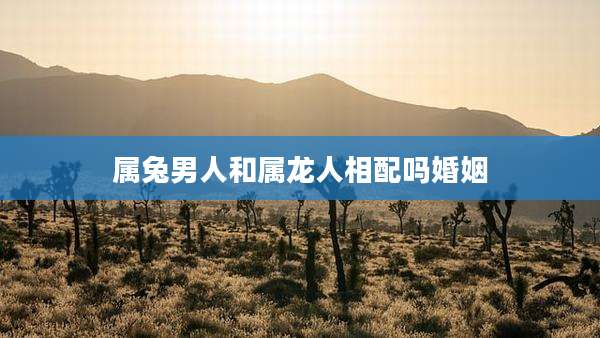 属兔男人和属龙人相配吗婚姻