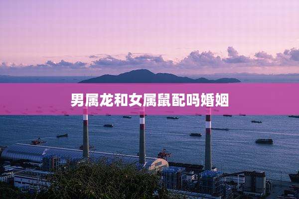 男属龙和女属鼠配吗婚姻