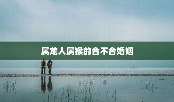 属龙人属猴的合不合婚姻