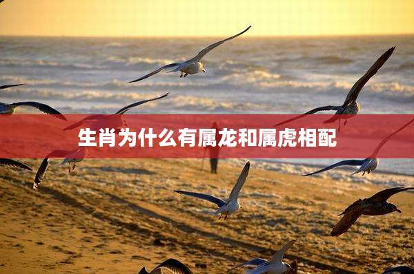 生肖为什么有属龙和属虎相配