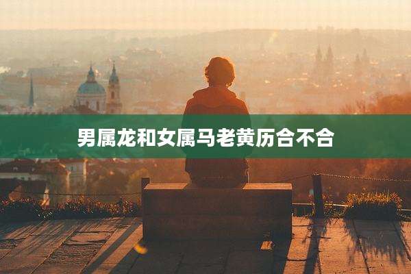 男属龙和女属马老黄历合不合