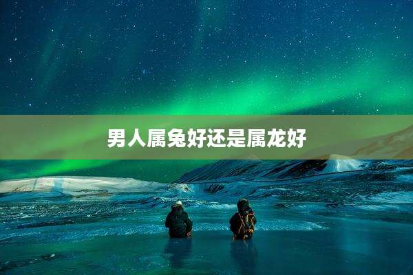 男人属兔好还是属龙好