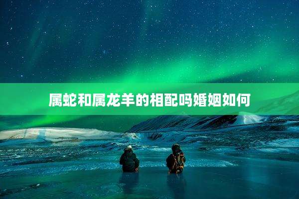 属蛇和属龙羊的相配吗婚姻如何