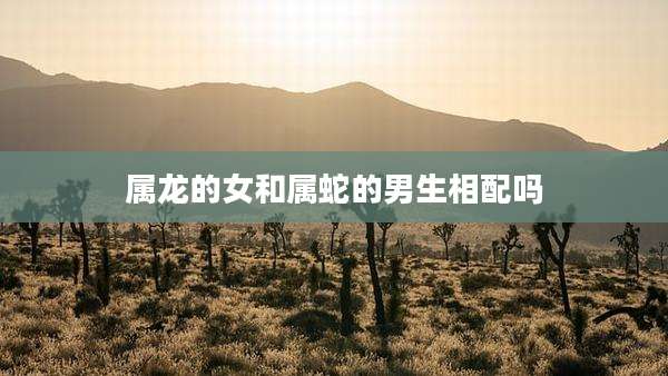 属龙的女和属蛇的男生相配吗