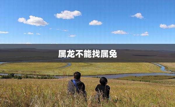 属龙不能找属兔