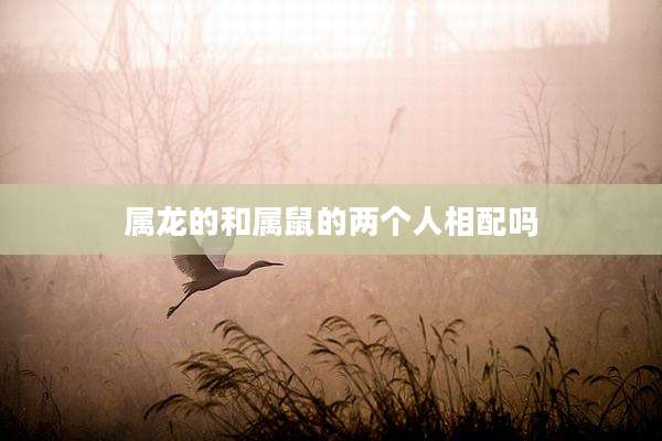 属龙的和属鼠的两个人相配吗