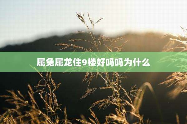 属兔属龙住9楼好吗吗为什么