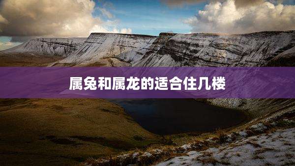 属兔和属龙的适合住几楼