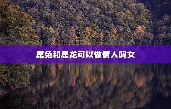 属兔和属龙可以做情人吗女