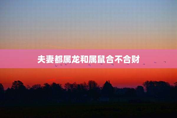 夫妻都属龙和属鼠合不合财