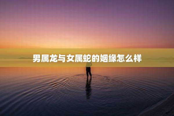 男属龙与女属蛇的姻缘怎么样