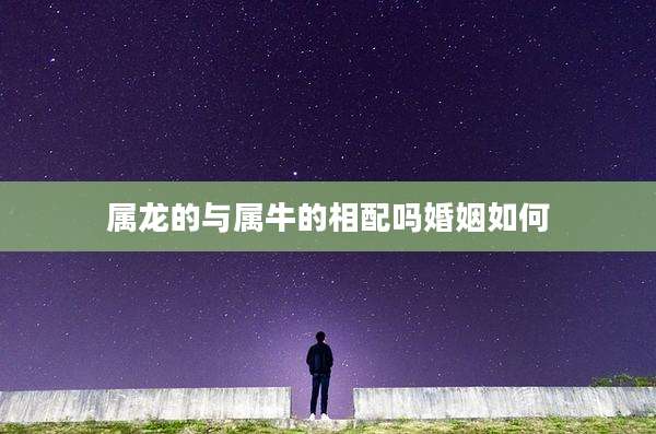 属龙的与属牛的相配吗婚姻如何