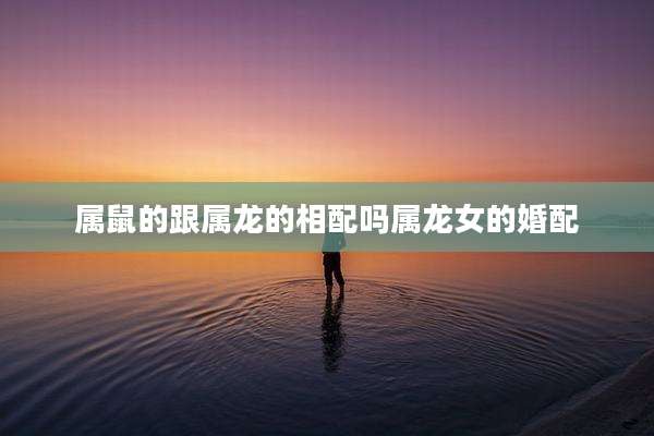 属鼠的跟属龙的相配吗属龙女的婚配
