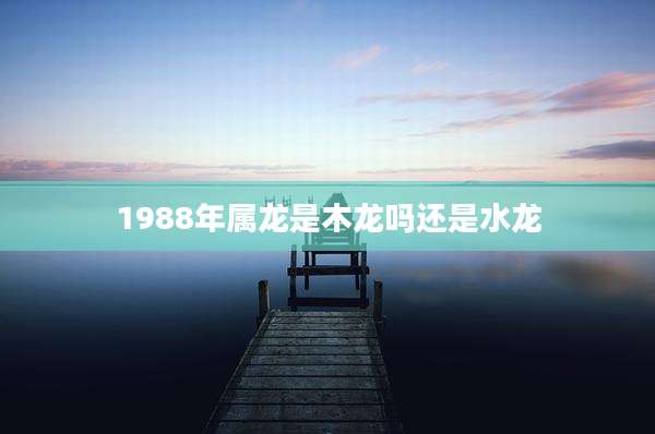 1988年属龙是木龙吗还是水龙