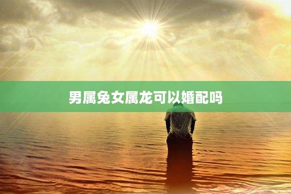 男属兔女属龙可以婚配吗