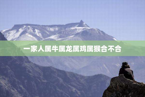 一家人属牛属龙属鸡属猴合不合