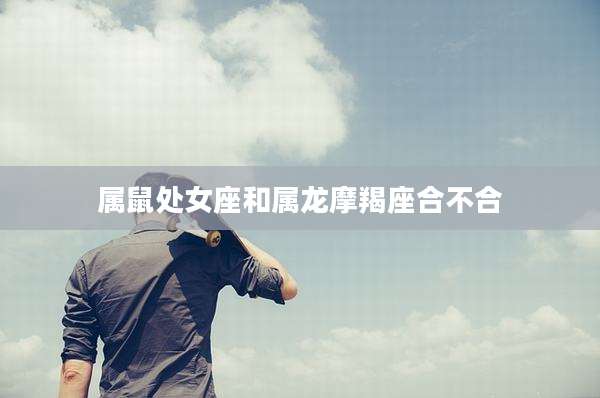 属鼠处女座和属龙摩羯座合不合