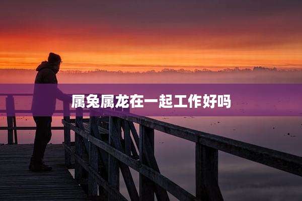 属兔属龙在一起工作好吗