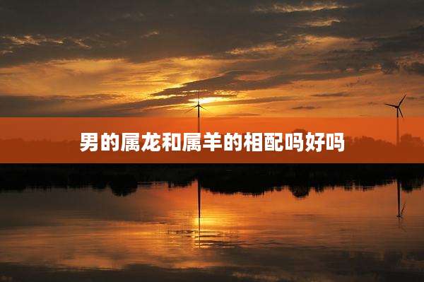 男的属龙和属羊的相配吗好吗