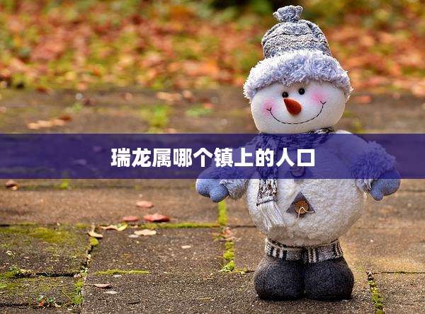 瑞龙属哪个镇上的人口