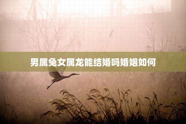 男属兔女属龙能结婚吗婚姻如何