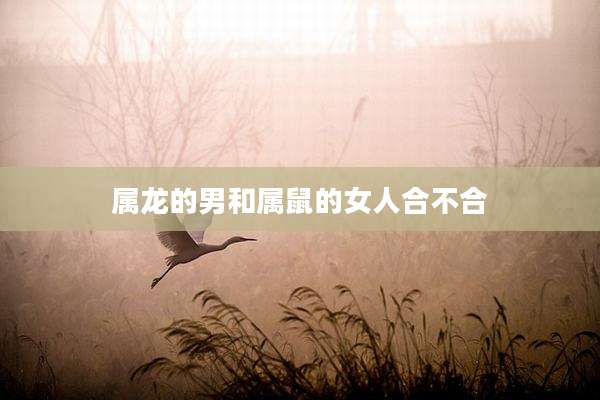 属龙的男和属鼠的女人合不合