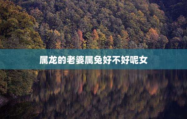 属龙的老婆属兔好不好呢女