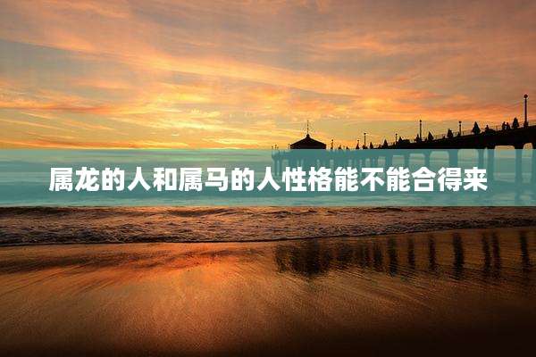 属龙的人和属马的人性格能不能合得来