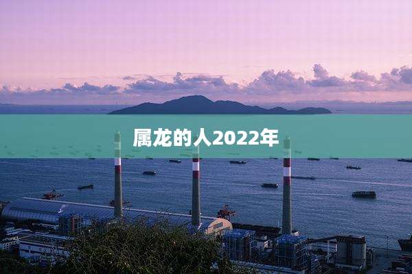 属龙的人2022年
