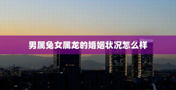 男属兔女属龙的婚姻状况怎么样